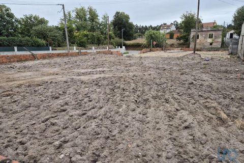 Helårsgrund i Vagos, Aveiro, Vagos - € 65.000 | Ref: 147058 - foto 7