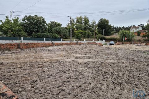 Helårsgrund i Vagos, Aveiro, Vagos - € 65.000 | Ref: 147058 - foto 8