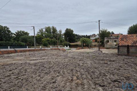 Helårsgrund i Vagos, Aveiro, Vagos - € 65.000 | Ref: 147058 - foto 9