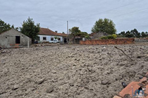 Helårsgrund i Vagos, Aveiro, Vagos - € 65.000 | Ref: 147058 - foto 10