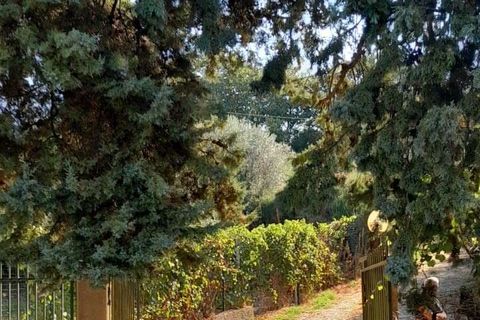 Landejendom i Monterosso Almo, Ragusa, Monterosso Almo - € 95.000 | Ref: RP-576141-576141 - foto 10