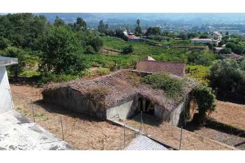 Landejendom i Ponte de Lima, Viana do Castelo, Ponte de Lima - € 75.000 | Ref: V291 - foto 5