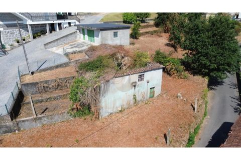 Landejendom i Ponte de Lima, Viana do Castelo, Ponte de Lima - € 75.000 | Ref: V291 - foto 10