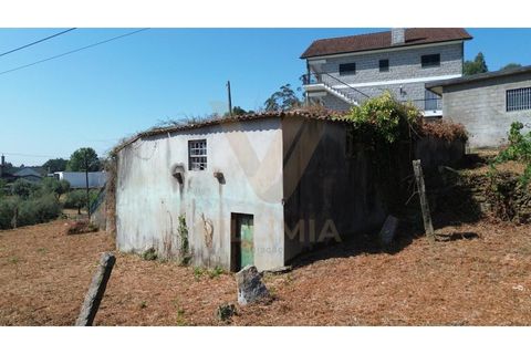Landejendom i Ponte de Lima, Viana do Castelo, Ponte de Lima - € 75.000 | Ref: V291 - foto 12