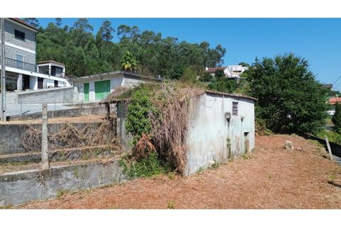 Landejendom i Ponte de Lima, Viana do Castelo, Ponte de Lima - € 75.000 | Ref: V291 - foto 13