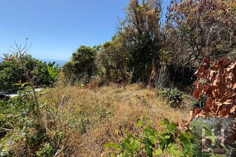 Villa i Arco da Calheta, Madeira, Arco da Calheta - € 275.000 | Ref: HH_2602MD25 - foto 10
