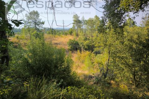 Helårsgrund i Castelo Branco, Castelo Branco, Castelo Branco - € 7.750 | Ref: 5745/EG - foto 1