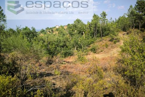 Helårsgrund i Castelo Branco, Castelo Branco, Castelo Branco - € 7.750 | Ref: 5745/EG - foto 2