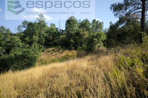 Helårsgrund i Castelo Branco, Castelo Branco, Castelo Branco - € 7.750 | Ref: 5745/EG - foto 3