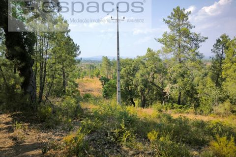 Helårsgrund i Castelo Branco, Castelo Branco, Castelo Branco - € 7.750 | Ref: 5745/EG - foto 4