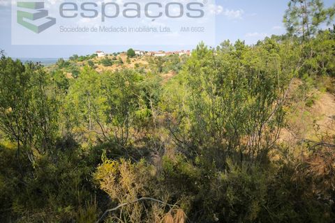 Helårsgrund i Castelo Branco, Castelo Branco, Castelo Branco - € 7.750 | Ref: 5745/EG - foto 6