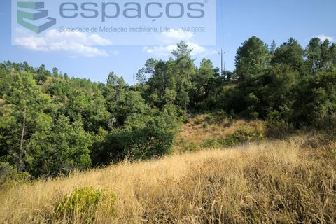Helårsgrund i Castelo Branco, Castelo Branco, Castelo Branco - € 7.750 | Ref: 5745/EG - foto 7