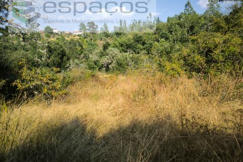 Helårsgrund i Castelo Branco, Castelo Branco, Castelo Branco - € 7.750 | Ref: 5745/EG - foto 8