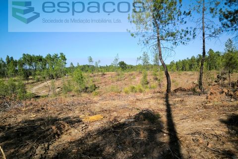 Helårsgrund i Castelo Branco, Castelo Branco, Castelo Branco - € 9.500 | Ref: 5744/EG - foto 1