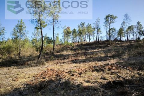 Helårsgrund i Castelo Branco, Castelo Branco, Castelo Branco - € 9.500 | Ref: 5744/EG - foto 2
