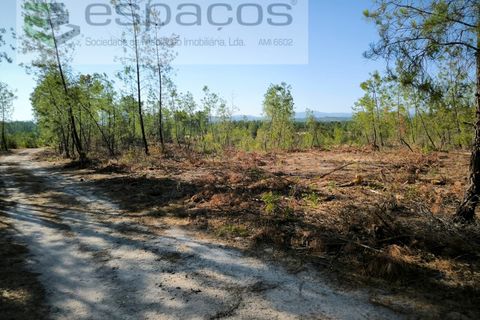 Helårsgrund i Castelo Branco, Castelo Branco, Castelo Branco - € 9.500 | Ref: 5744/EG - foto 8