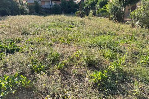 Helårsgrund i Bordighera, Imperia, Bordighera - € 295.000 | Ref: iv1313 - foto 7