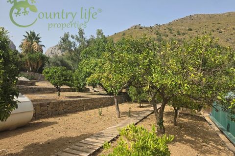 Villa i Alcaucin, Malaga, Alcaucin - € 375.000 | Ref: ALC177 - foto 31