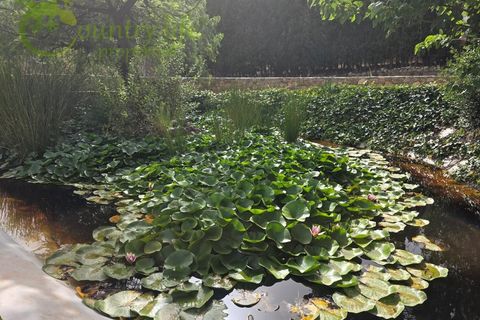 Villa i Alcaucin, Malaga, Alcaucin - € 375.000 | Ref: ALC177 - foto 38