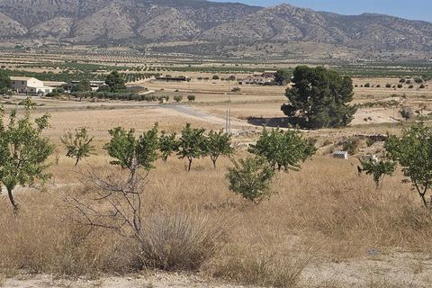Villa a Jumilla, Murcia, Jumilla - € 360.000 | Ref: TRPDLUX - foto 12