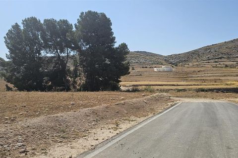 Villa a Jumilla, Murcia, Jumilla - € 360.000 | Ref: TRPDLUX - foto 13