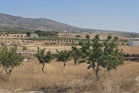 Villa a Jumilla, Murcia, Jumilla - € 360.000 | Ref: TRPDLUX - foto 14