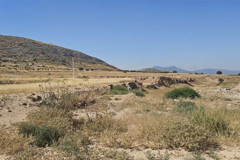 Villa a Jumilla, Murcia, Jumilla - € 360.000 | Ref: TRPDLUX - foto 15