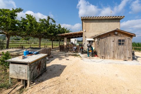 Landejendom i Tortosa, Tarragona, Tortosa - € 160.000 | Ref: 256 - foto 10