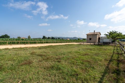 Landejendom i Tortosa, Tarragona, Tortosa - € 160.000 | Ref: 256 - foto 13