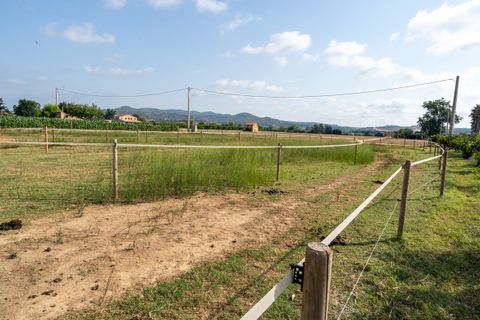 Landejendom i Tortosa, Tarragona, Tortosa - € 160.000 | Ref: 256 - foto 15