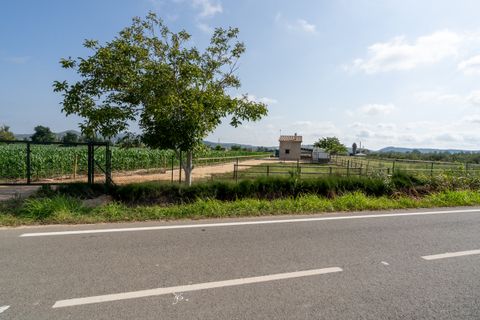 Landejendom i Tortosa, Tarragona, Tortosa - € 160.000 | Ref: 256 - foto 31