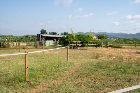 Landejendom i Tortosa, Tarragona, Tortosa - € 160.000 | Ref: 256 - foto 28