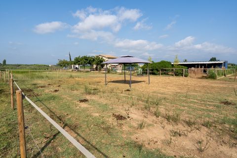 Landejendom i Tortosa, Tarragona, Tortosa - € 160.000 | Ref: 256 - foto 20