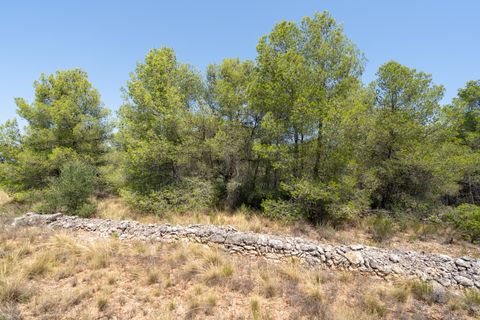 Finca i Ginestar, Tarragona, Ginestar - € 74.000 | Ref: 257 - foto 13