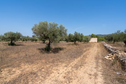 Finca i Ginestar, Tarragona, Ginestar - € 74.000 | Ref: 257 - foto 21