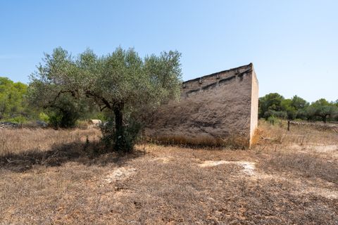 Finca i Ginestar, Tarragona, Ginestar - € 74.000 | Ref: 257 - foto 11