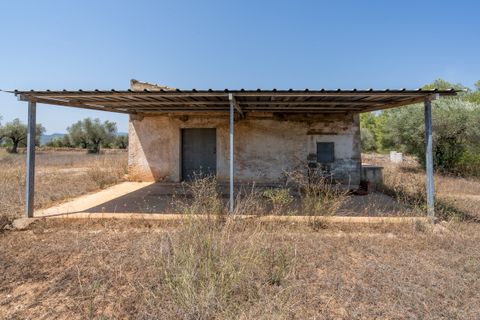 Finca i Ginestar, Tarragona, Ginestar - € 74.000 | Ref: 257 - foto 1