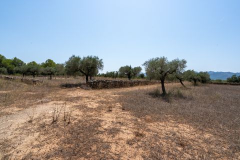 Finca i Ginestar, Tarragona, Ginestar - € 74.000 | Ref: 257 - foto 19