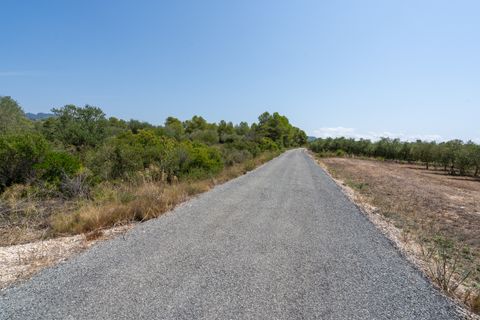 Finca i Ginestar, Tarragona, Ginestar - € 74.000 | Ref: 257 - foto 22