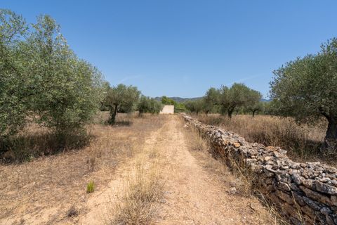 Finca i Ginestar, Tarragona, Ginestar - € 74.000 | Ref: 257 - foto 20