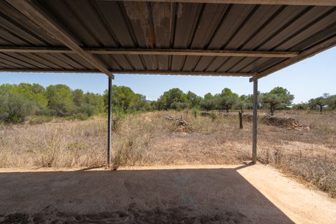 Finca i Ginestar, Tarragona, Ginestar - € 74.000 | Ref: 257 - foto 15