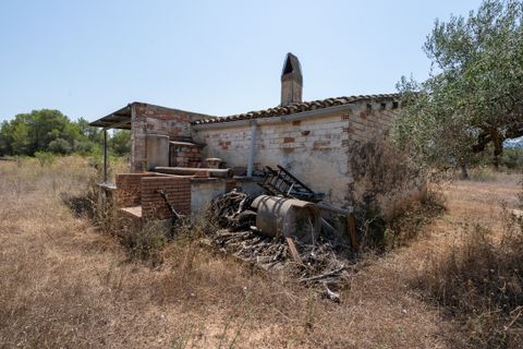 Finca i Ginestar, Tarragona, Ginestar - € 74.000 | Ref: 257 - foto 3