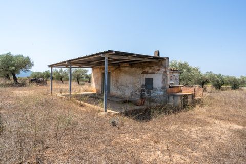 Finca i Ginestar, Tarragona, Ginestar - € 74.000 | Ref: 257 - foto 5
