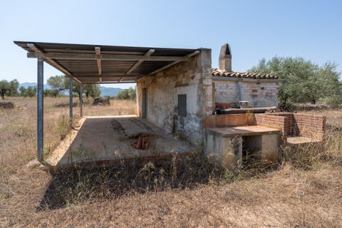 Finca i Ginestar, Tarragona, Ginestar - € 74.000 | Ref: 257 - foto 2