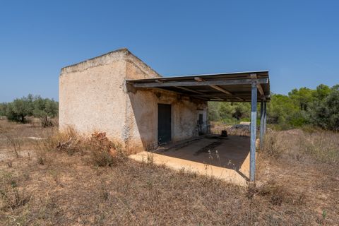 Finca i Ginestar, Tarragona, Ginestar - € 74.000 | Ref: 257 - foto 4