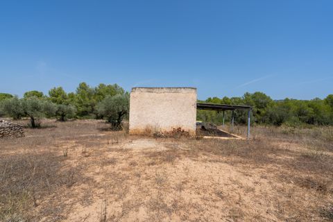 Finca i Ginestar, Tarragona, Ginestar - € 74.000 | Ref: 257 - foto 10
