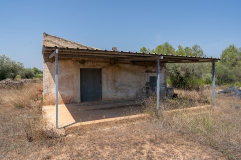 Finca i Ginestar, Tarragona, Ginestar - € 74.000 | Ref: 257 - foto 17