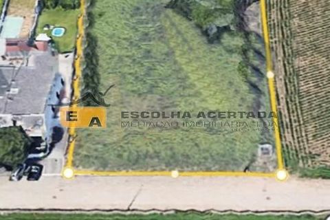 Helårsgrund i Vila do Conde, Porto, Vila do Conde - € 249.000 | Ref: 11740 - foto 1