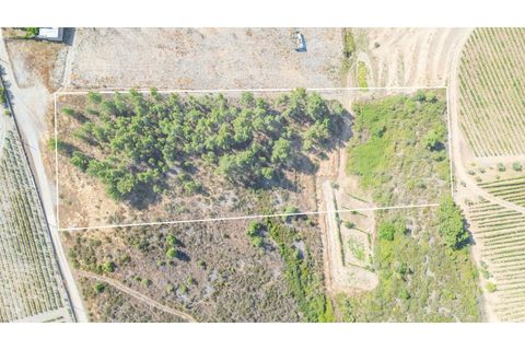 Grond in Murca, Vila Real, Murca - € 60.000 | Ref: K535 - foto 2