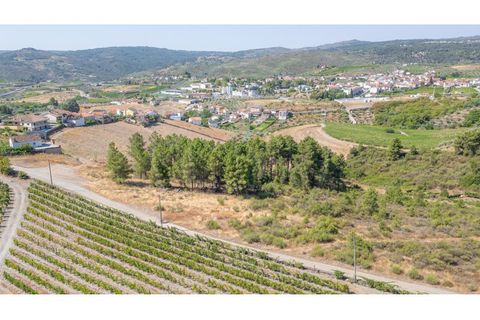 Grond in Murca, Vila Real, Murca - € 60.000 | Ref: K535 - foto 4